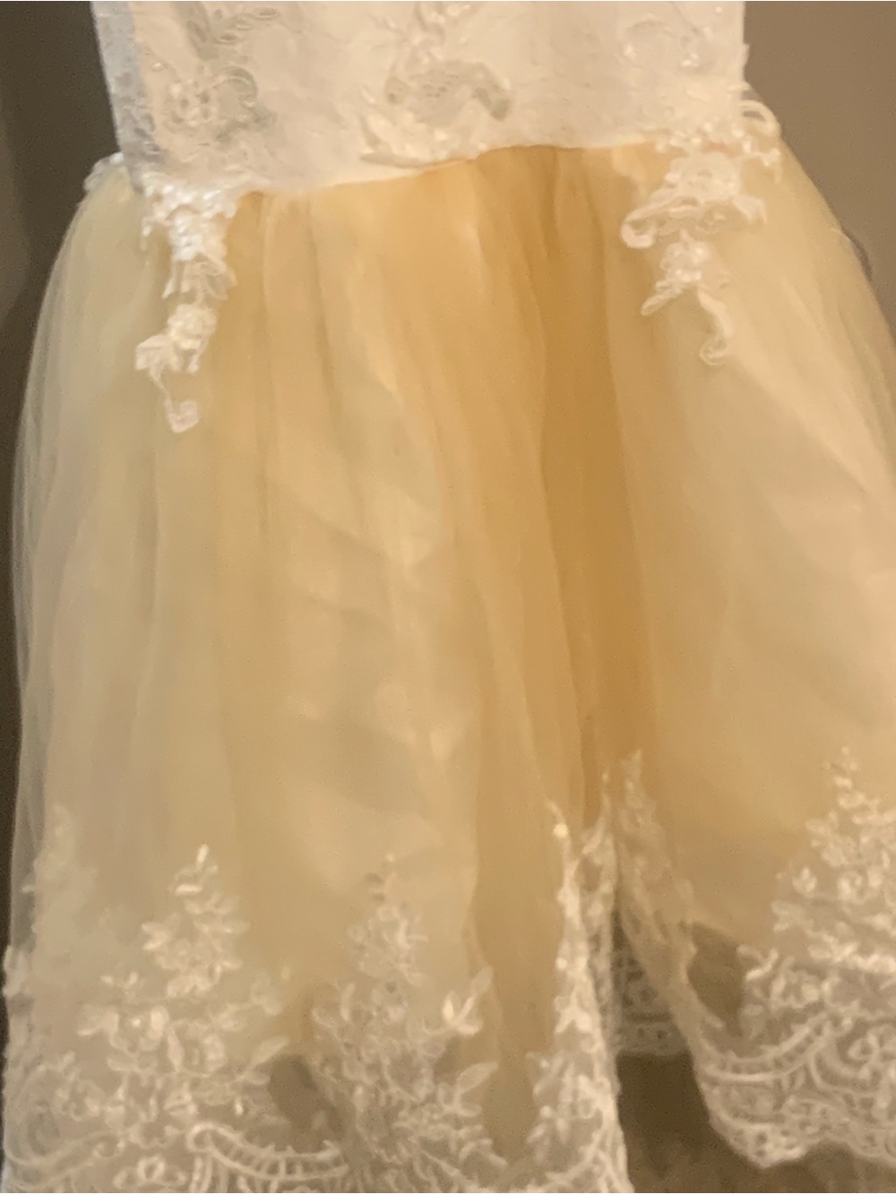 Ivory Lace Bodice with Champagne Tulle Skirt Dress